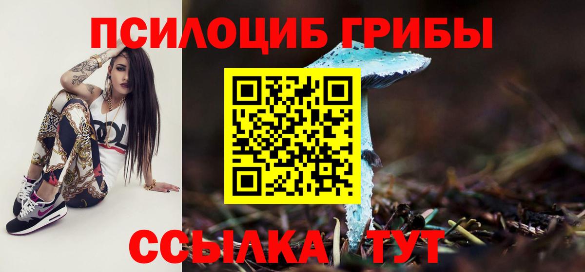 Псилоцибиновые грибы Cubensis  Галлюциногенные грибы Cubensis  Сибай  Вход с VPN 